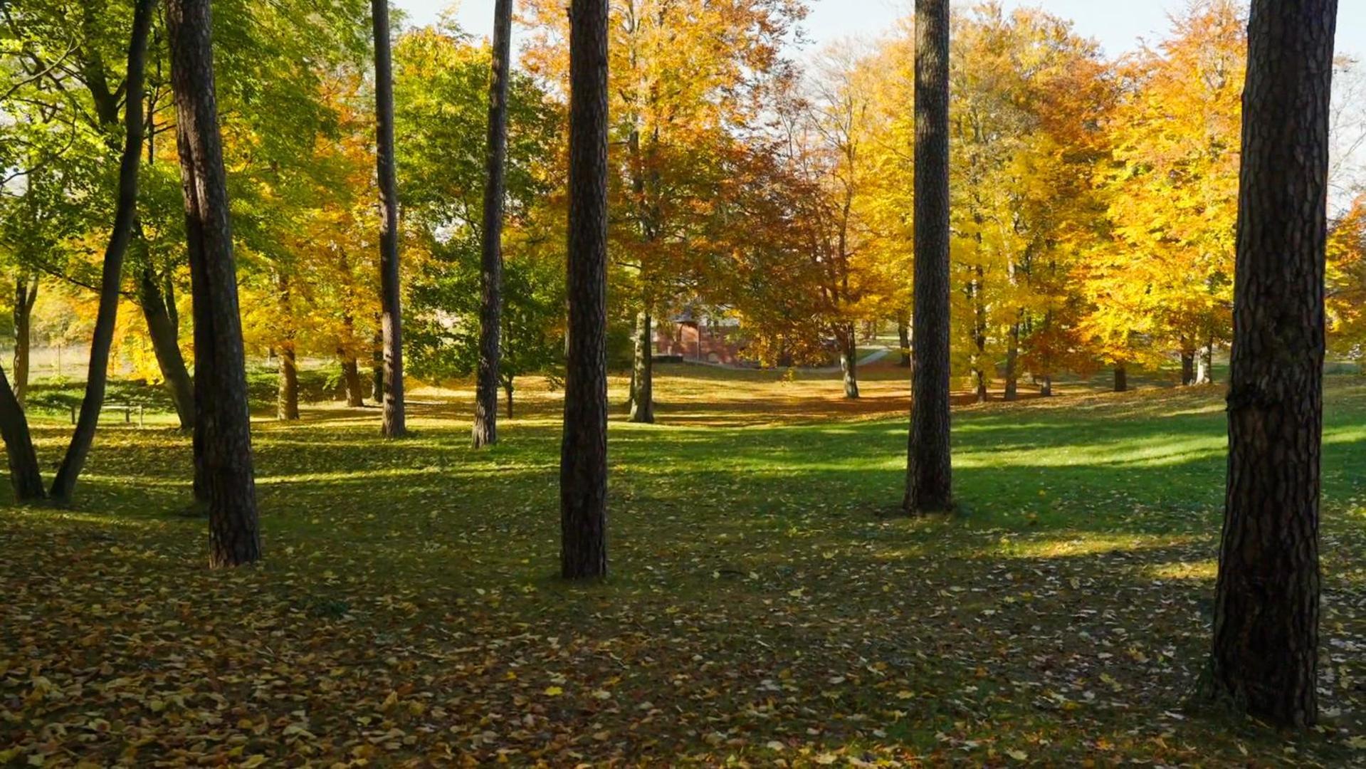 Parkresidenz Lychen, Ferienwohnung 4 외부 사진